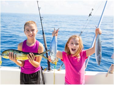 在线DDOS攻击平台